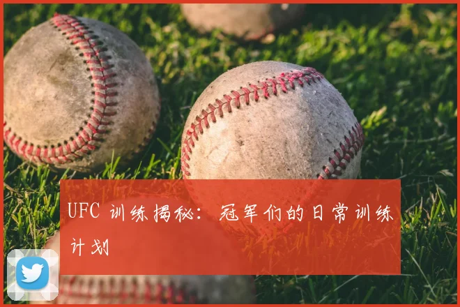UFC 训练揭秘:冠军们的日常训练计划