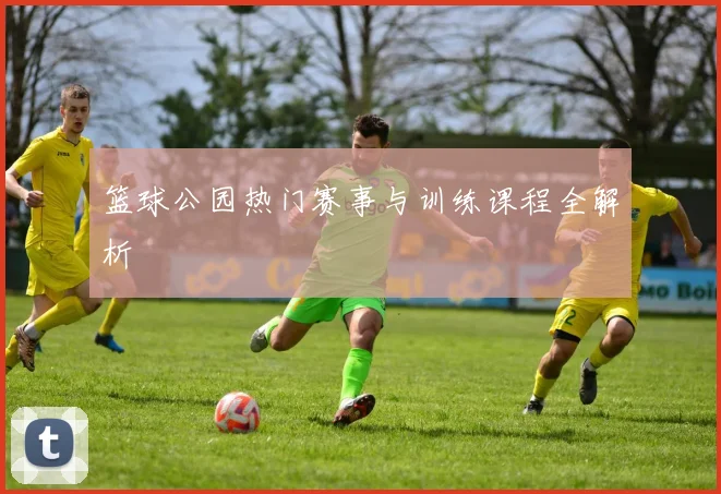 篮球公园热门赛事与训练课程全解析