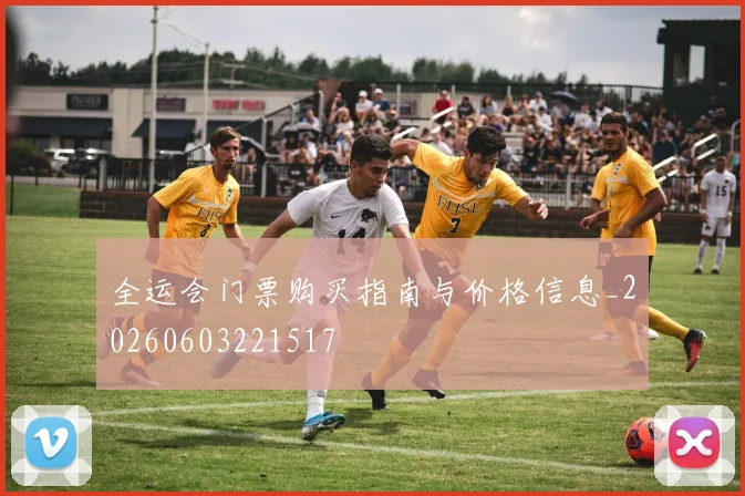 全运会门票购买指南与价格信息_20260603221517