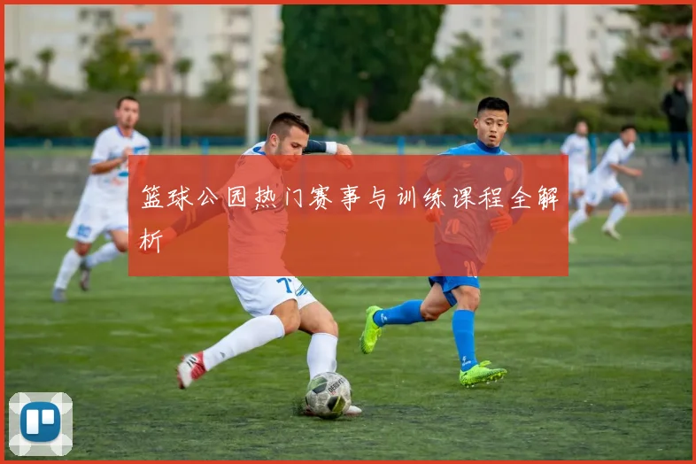 篮球公园热门赛事与训练课程全解析