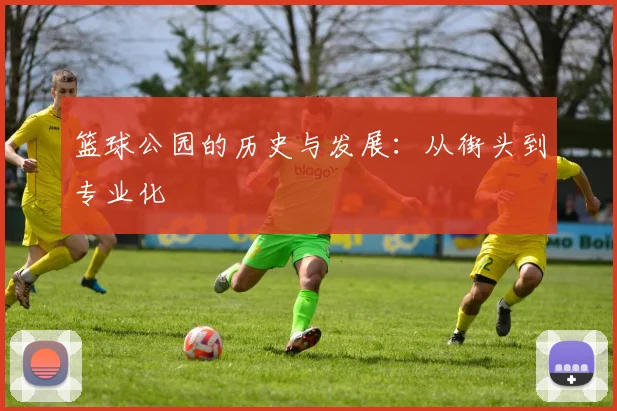 篮球公园的历史与发展:从街头到专业化
