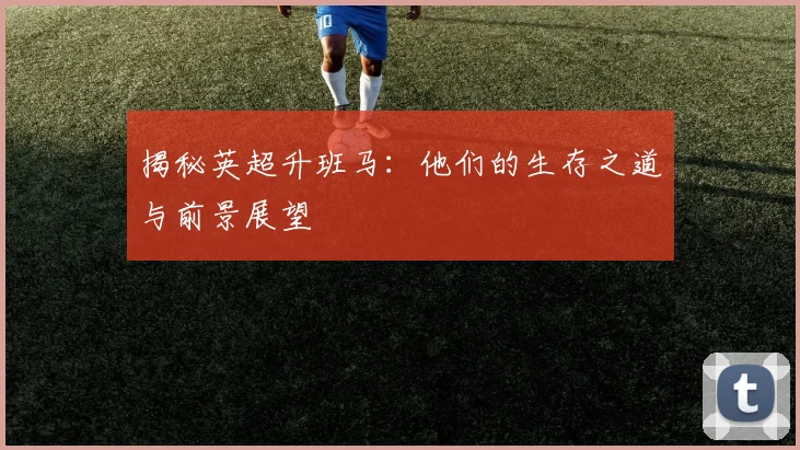 揭秘英超升班马:他们的生存之道与前景展望
